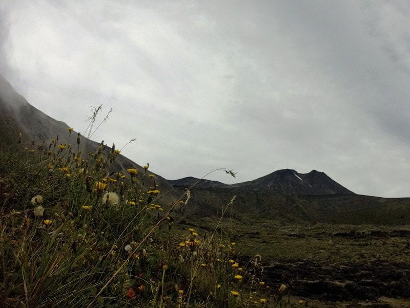 Climbing Casa Blanca Volcano - Image 8