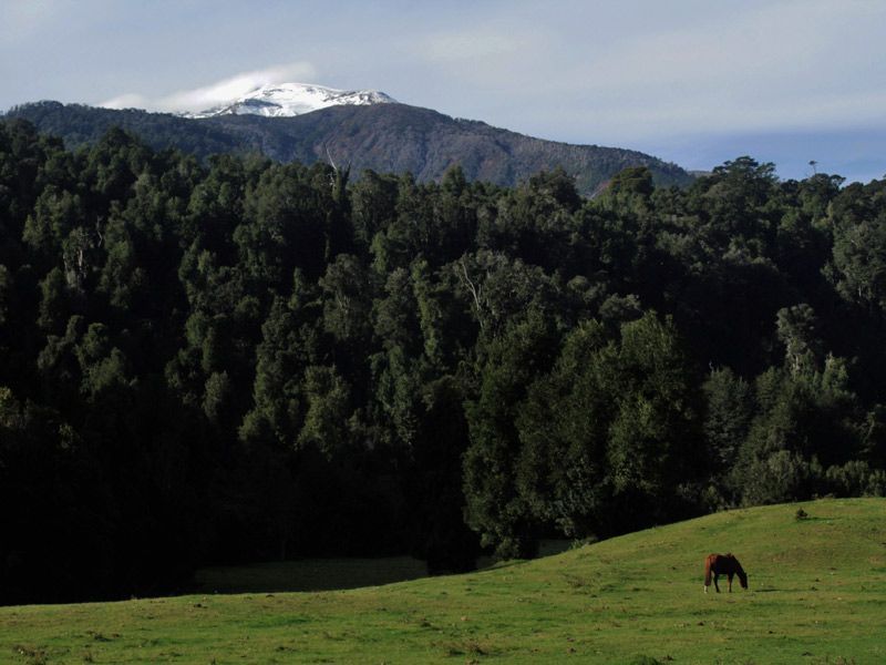Ascensión al Volcán Puyehue - Imagen 8