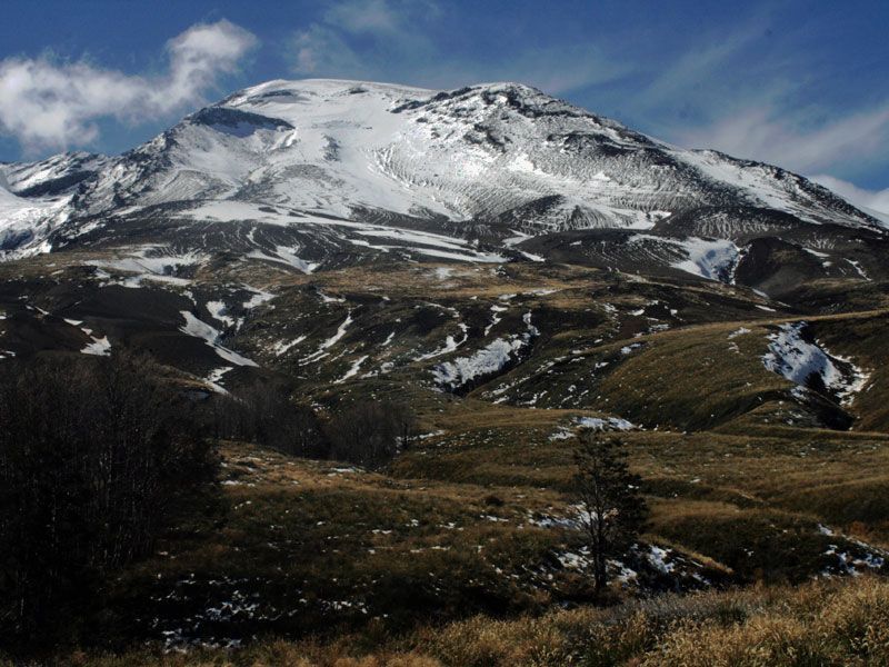 Tour de volcanes: Osorno, Puyehue, Llaima - Imagen 4
