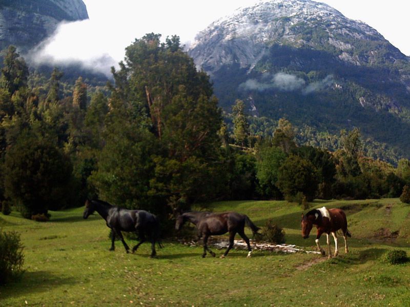 Trekking Cochamó, Cerro Arcoiris & Laguna Trinidad - Imagen 8