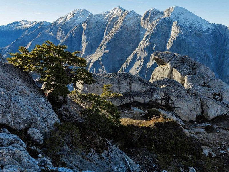 Trekking Cochamó, Cerro Arcoiris & Laguna Trinidad - Imagen 5