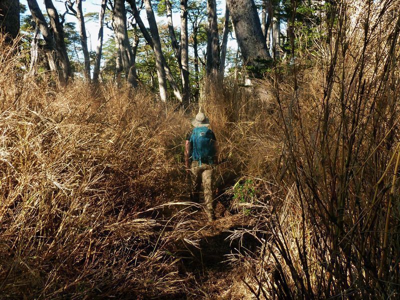 Trekking von Antillanca zum Rupanco-See – Bild 2