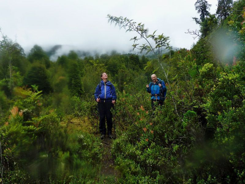 Trekking von Antillanca zum Rupanco-See – Bild 6