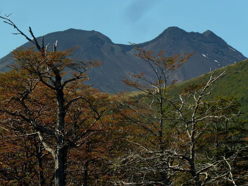 Trekking von Antillanca zum Rupanco-See – Bild 3