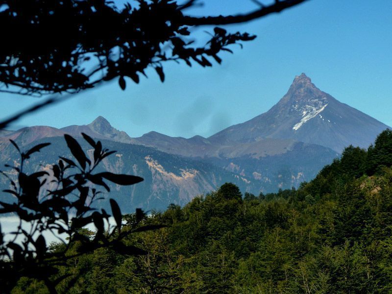 Trekking von Antillanca zum Rupanco-See – Bild 8