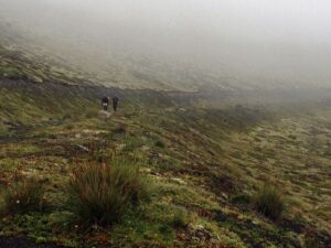 Trekking desde Antillanca al Lago Rupanco