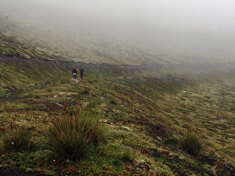 Trekking von Antillanca zum Rupanco-See