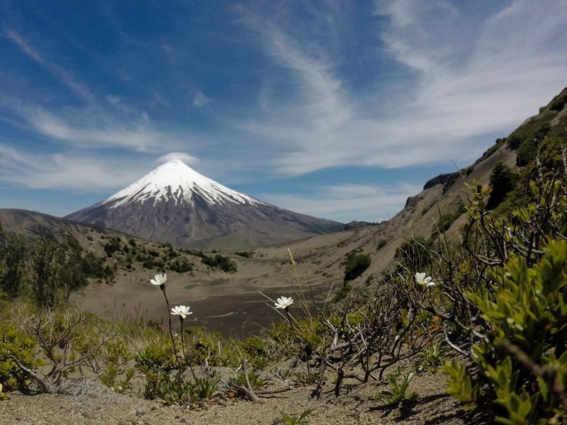 Trekking nach La Picada – Bild 3