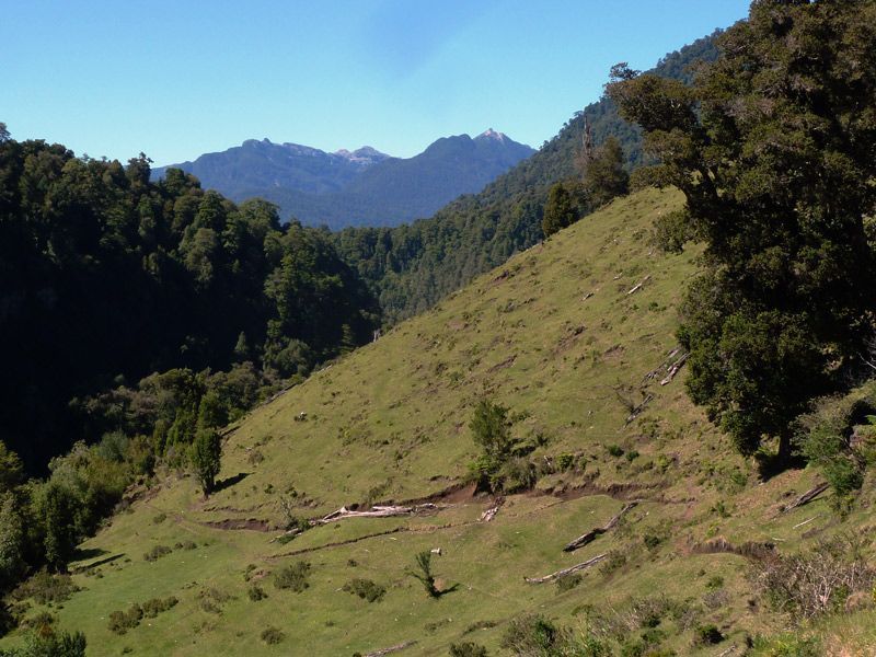 Überfahrt vom Rupanco-See zum Todos-See Los Santos – Bild 2