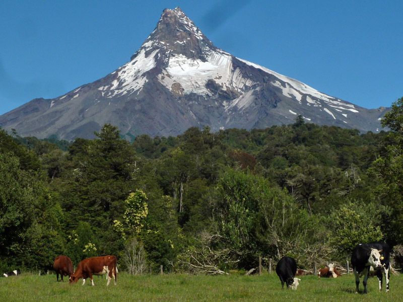 Überfahrt vom Rupanco-See zum Todos-See Los Santos – Bild 5