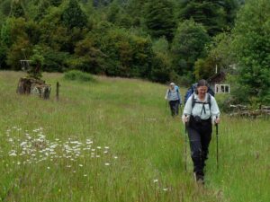 Überfahrt vom Rupanco-See zum Todos-See Los Santos