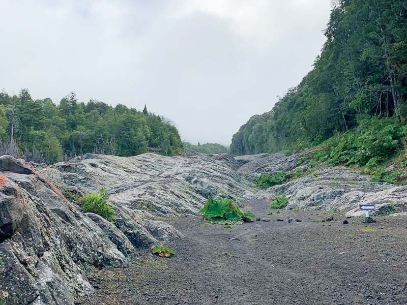 Trekking zur Calbuco Vulkanhütte – Bild 5