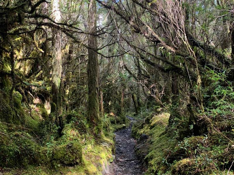 Trekking zur Calbuco Vulkanhütte – Bild 2